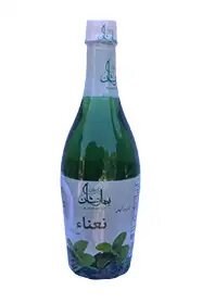 شربت نعنا ممتاز – بهارنشان