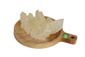 نبات پرده یزد ( کیلویی)