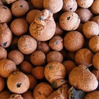 بستر کشت لیکا سایز بزرگ (پوکه معدنی)
