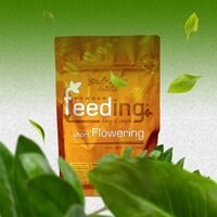 کود فیدینگ شورت فلاورینگ GREEN HOUSE FEEDING SHORT FLOWERING