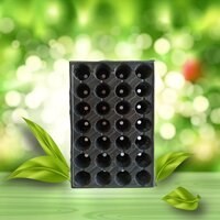 سینی نشاء 28 حفره
