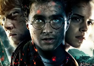 متال پوستر فیلم Harry Potter کد N203