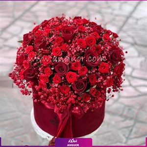 15 شاخه گل رز میناتوری در باکس گرد با تم قرمز