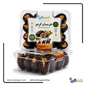 خرما و گردو شهدگان (ارگانیک و درجه یک) | قیمت خرما مغزگردو بازرگانی رحیمی
