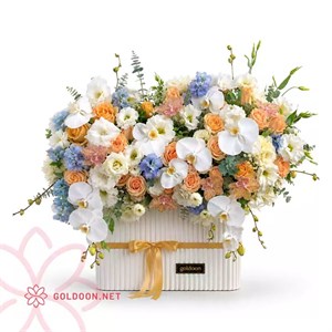 باکس گل کد 027
