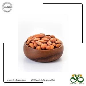 بادام درختی نمک دریا