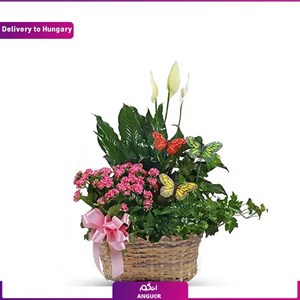 سبد گل بهاری(تحویل در مجارستان)