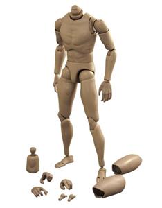 Narrow Shoulder 1 6 Scale Action Figure Male Body Toys for TTM18 TTM19 by Generic 