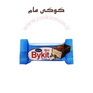 مینی ویفر بایکت نارگیلی با روکش شکلات شیری شونیز