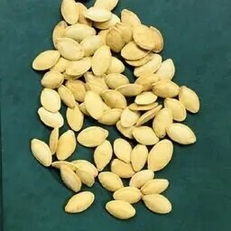 کدو گوشتی نمکی 500گرم ( کدو گوشتی مغز ویژه ) سایز6