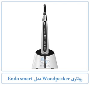 روتاری Woodpecker مدل Endo smart