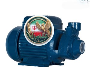 پمپ pm80چینی
