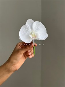 گل یقه کت داماد Boutonniere ارکیده پارچه ای