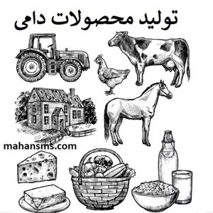 تولید محصولات دامی