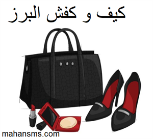دایرکتوری کیف و کفش البرز