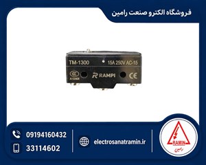 میکروسوئیچ سوزنی رمپی مدل RAMPI TM-1300