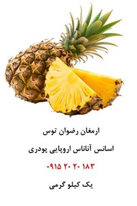 اسانس پودری آناناس اروپایی