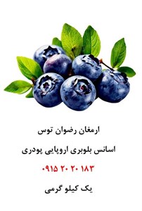 اسانس بلوبری اروپایی خوراکی