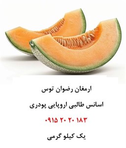 اسانس طالبی اروپایی خوراکی