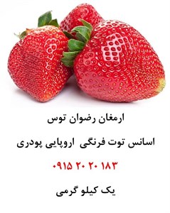 اسانس توت فرنگی اروپایی
