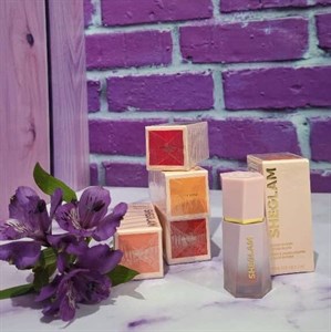 رژ گونه مایع شیگلم