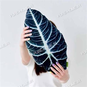 کوسن برگ آلوکازیا