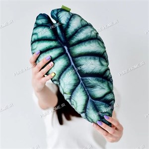 کوسن برگ آلوکازیا 2