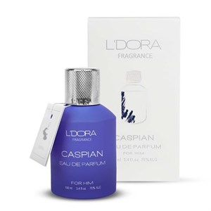 ادوپرفیوم لدورا مردانه مدل CASPIAN فرگرنس 100 میلی‌لیتر