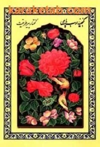 گنجینه ادب پارسی