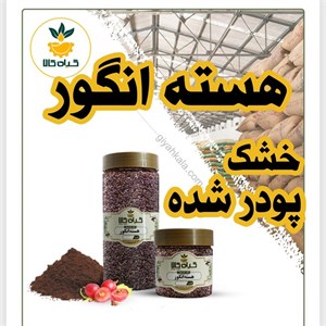 هسته انگور خشک یا پودری بسته بندی