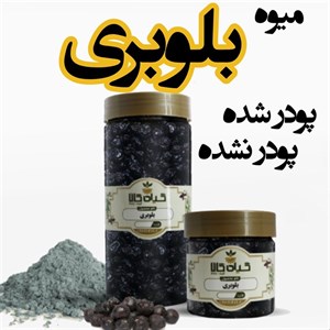 میوه بلوبری خشک یا پودری بسته بندی