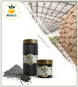 بذر ریحان خشک یا پودری بسته بندی