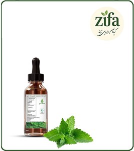 طعم دهنده بادرنجبویه دارویی بسته بندی