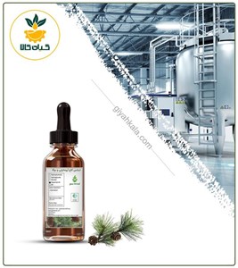 اسانس کاج مخصوص آروماتراپی و یوگا