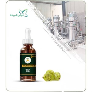 روغن آمله مخصوص پوست صورت
