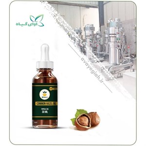 روغن فندق مخصوص پوست صورت