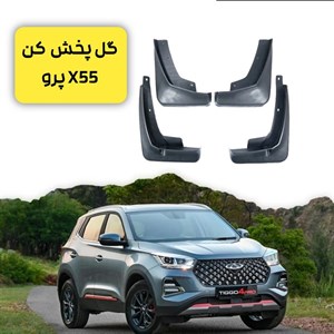 گل پخش کن ایکس 55 پرو
