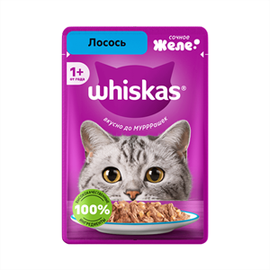 پوچ گربه ویسکاس Whiskas با طعم ماهی سالمون در ژله