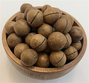 فندق ماکادمیا