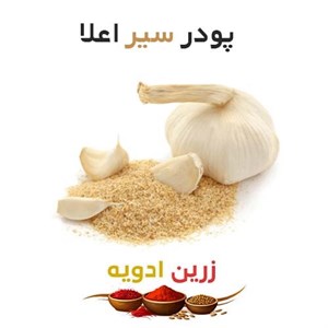پودر سیر اعلا 100 کیلویی