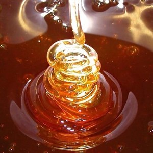 عسل کنار (سدر) طبیعی