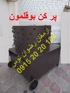 پر کن بوقلمون