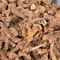 *قولنجان اعلا | ریشه گرم، معطر و درمانی (مشابه زنجبیل اما قوی‌تر)۱کیلویی،پسکرایه