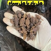 هل باد (هل سیاه)۲۰کیلویی،پسکرایه