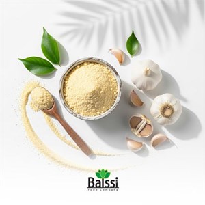خرید عمده پودر سیر (هر کیلوگرم)