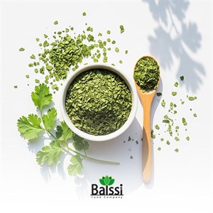 خرید عمده گشنیز خشک (هر کیلوگرم)