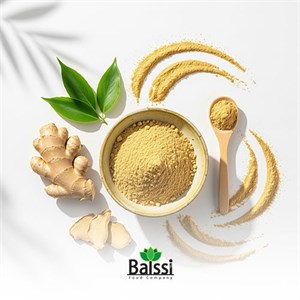 خرید عمده پودر زنجبیل (هر کیلوگرم)