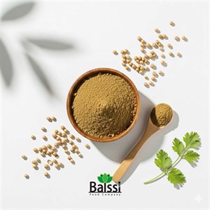 خرید عمده پودر تخم گشنیز (هر کیلوگرم)