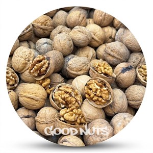 گردو پوستدار درجه1