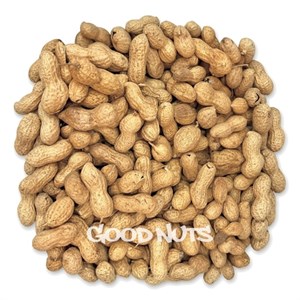 بادام پوستدار 500 گرم